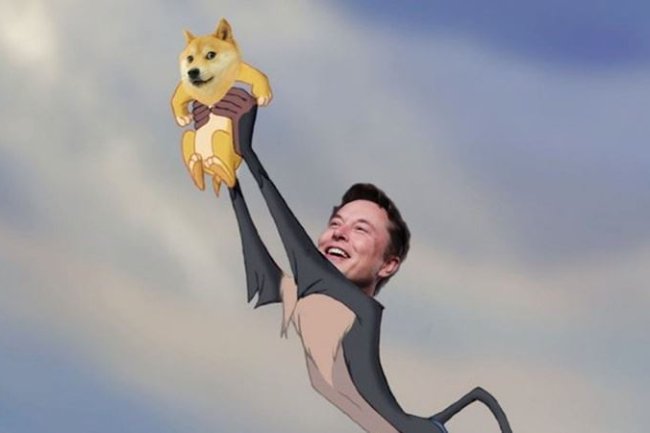 SON DAKİKA: Dogecoin (DOGE) Destekçisi Elon Musk, Bir Köpek Fotoğrafı Paylaştı!