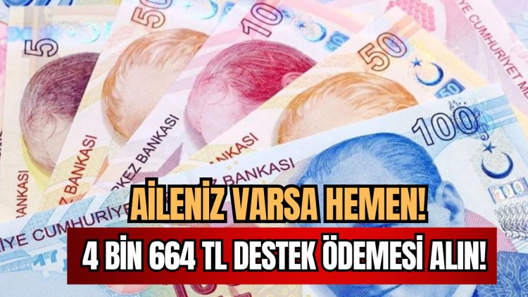 Ailenizde Varsa 4 bin 664 TL Destek Ödemesini Hemen Alabilirsiniz!
