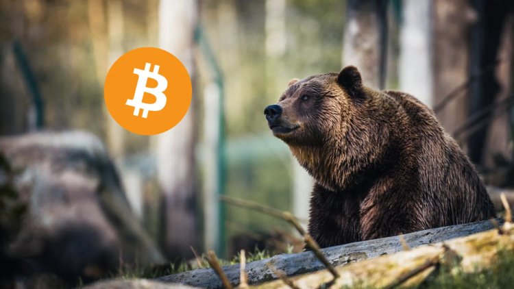 Piyasa Uzmanları, Bitcoin’de (BTC) Yeni Düşüşler Bekliyor!