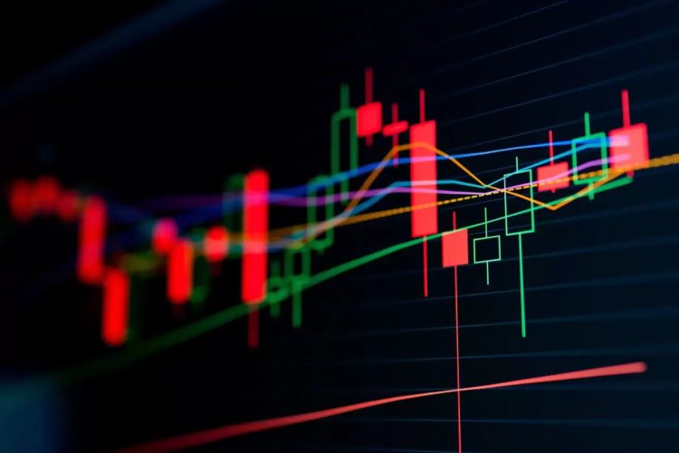 Bitcoin Uzmanı Wedson: Korku Yüksekken Alınan Altcoin, Çok Kazandırabilir!