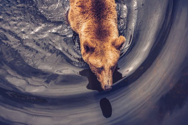 Bitcoin, ETH ve Altcoin’lerdeki Son Yükselişler, 140 Bin Ayıyı Likit Etti!