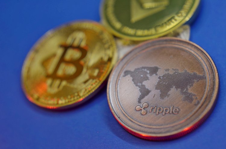 Ripple (XRP) Küçük, Bitcoin (BTC) ise Kurumsal Yatırımcıların Gözdesi Oldu!