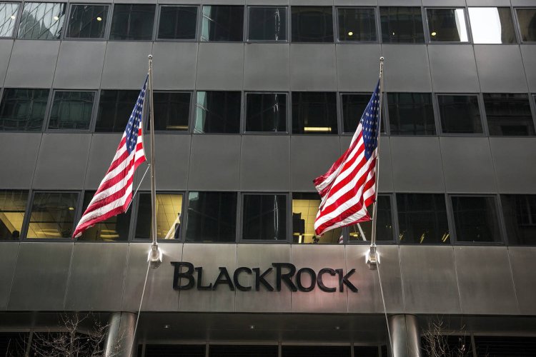 Bitcoin, Altcoin ve Borsadaki Düşüşler Bitti mi? İşte BlackRock CEO’sunun Cevabı…