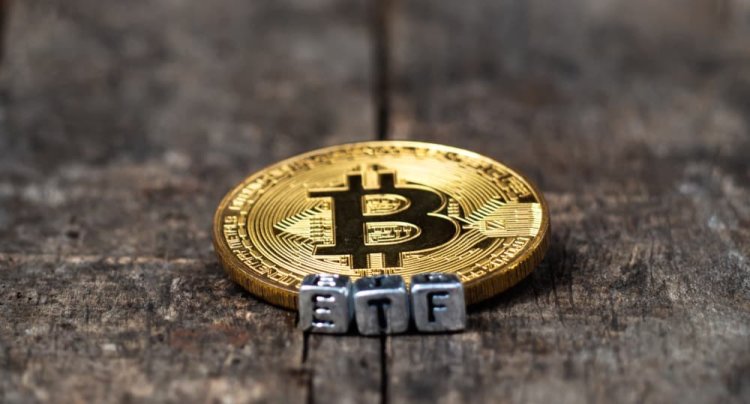 Ekonomist Peter Chung, Spot Bitcoin (BTC) ETF’leri Hakkında Çarpıcı Açıklamalar Yaptı!