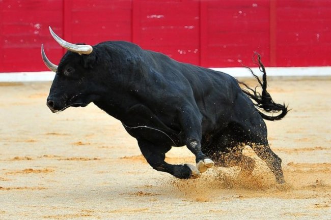 Bitcoin’de (BTC) Boğa, Altcoin’ler Yükselmeden Bitti mi?