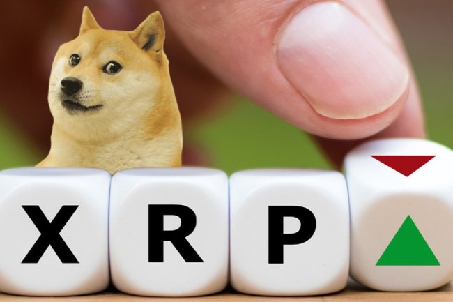 SON DAKİKA: Coinbase’den Önemli Bir Dogecoin (DOGE) ve XRP Hamlesi Geldi!