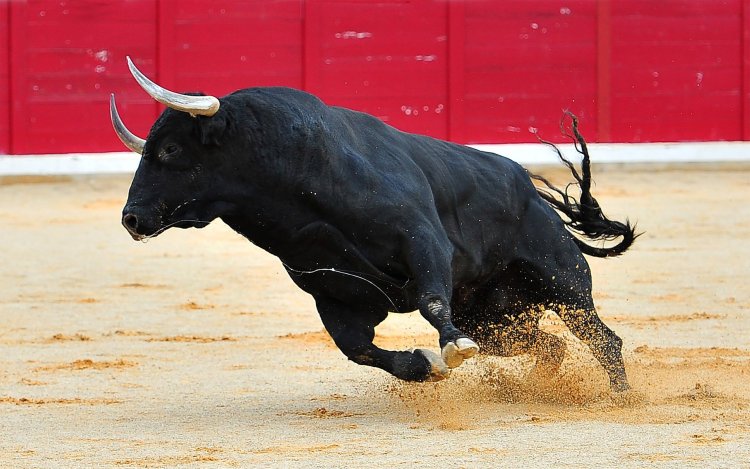 Bitcoin’de (BTC) Son Veriler Açıklandı: Pozitif Sinyal Var!
