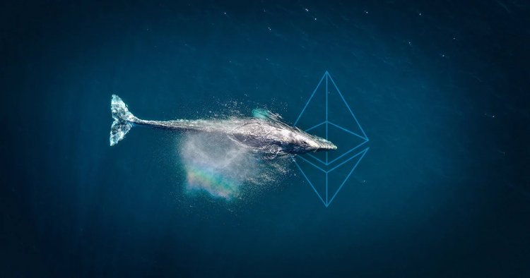 Ethereum’da (ETH) Hep Kazanan Balina Ne Bekliyor? Düşüş mü Yükseliş mi?