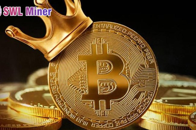 Ripple (XRP) Sahipleri, Günde 10.000 Dolar Kazanmak İçin SWL Miner’a Yöneliyor