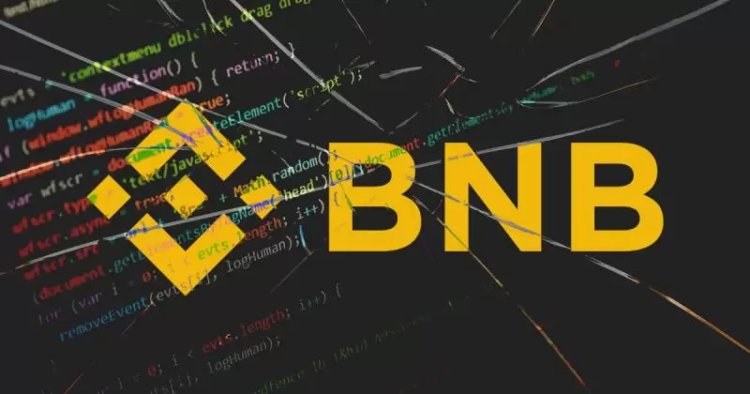 Bitcoin Borsası Binance’in Uzmanları, Bu Altcoin’i Analiz Etti! ETH Değil…