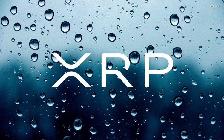Ripple Bugün Çok Önemli Bir Adım Attı! Yeni XRP Rallisi mi Geliyor?
