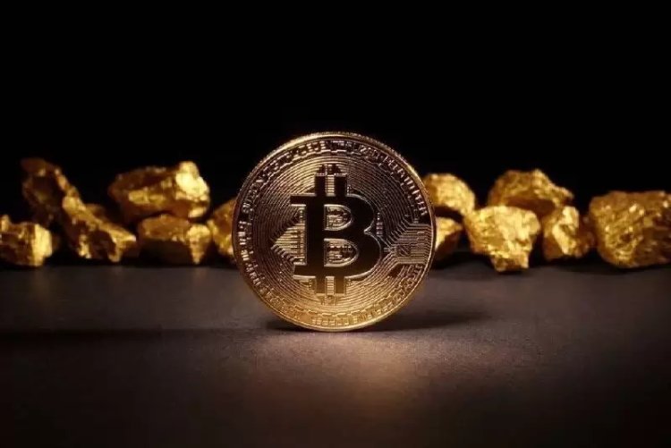 Kripto Para Ekonomistlerinden Çarpıcı Bitcoin (BTC) ve Altın Raporu!