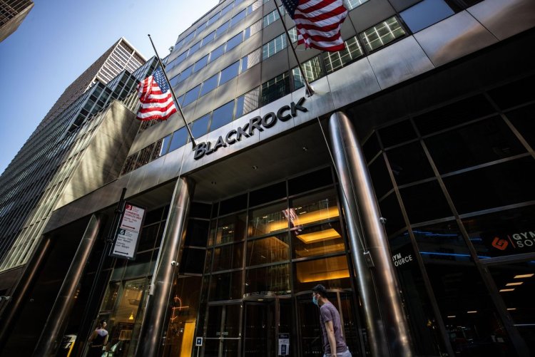 SICAK GELİŞME: Bitcoin Destekçisi BlackRock’dan Yeni Kripto Para ve Blockchain Adımı!