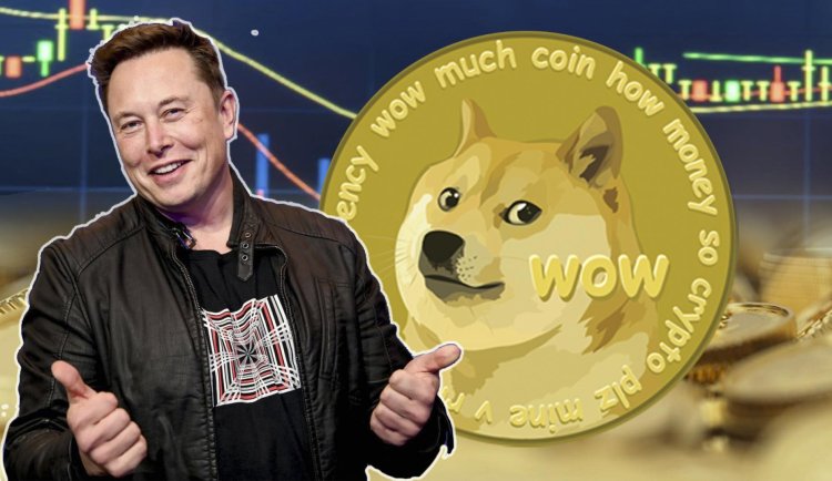 SON DAKİKA: Dogecoin Boğası Elon Musk’tan Beklenmedik Kripto Para Adımı!