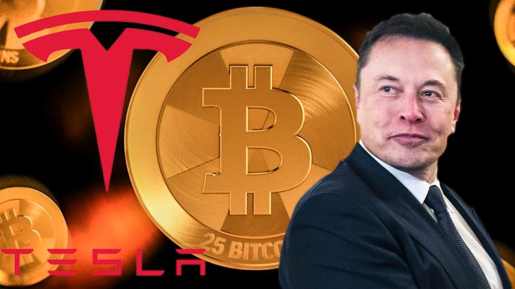 Dogecoin Boğası Elon Musk’tan Yeni Bitcoin (BTC) Paylaşımı! Geri mi Dönüyor?