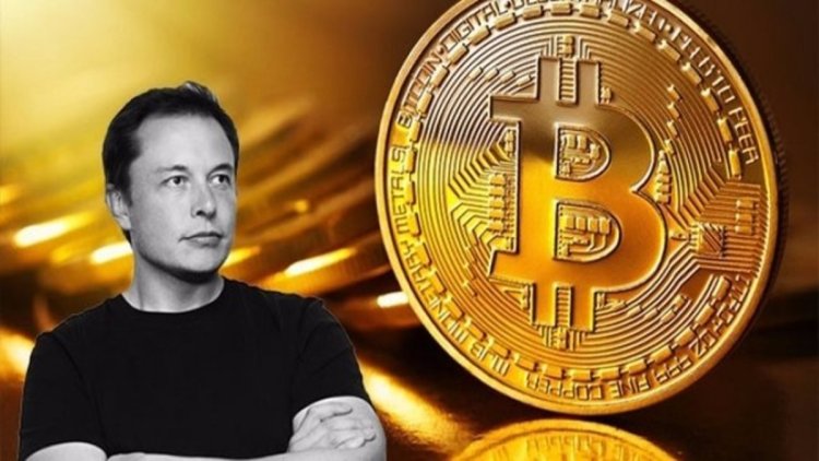 Elon Musk Bitcoin Transfer Ediyor! BTC mi Satacak? O Yüzden mi Düştük?