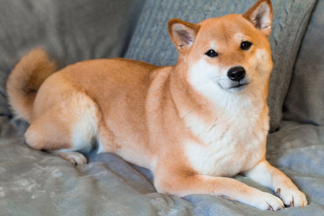 Binance’deki Türklerin Gözde Altcoin’in de Önemli Gelişme! İyi mi Kötü mü?