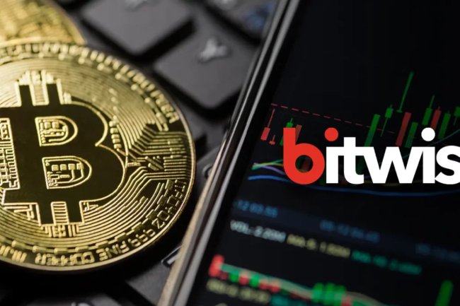 Bitwise Yöneticisi: Bitcoin (BTC) ve Bu Altcoin’ler Ani Yükselebilir!