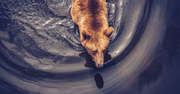 Dev Kripto Para Şirketi Grayscale Açıkladı! Bitcoin’de (BTC) Ayı Başladı mı?