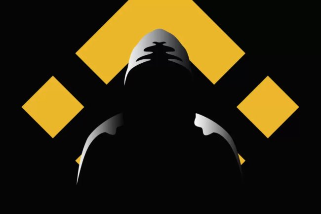 Yüklü Bitcoin ve LTC Çalındı, Binance’deki Bu Altcoin Yükseldi! Nasıl Olur?