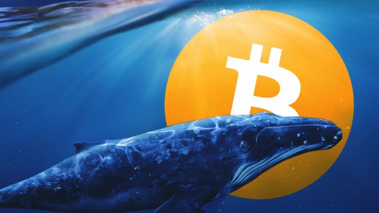 Santiment’ten Bitcoin Raporu Geldi! BTC’de Son Veriler İyi mi?